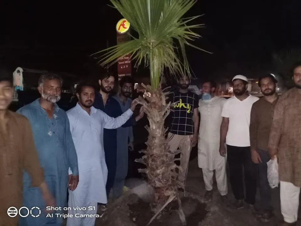 Green Seekers Activity